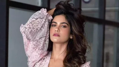 Who is Aaditi Pohankar Age, Net Worth, Movies, Family & More