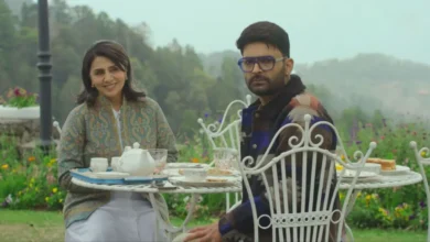 Daadi Ki Shaadi Box Office Day 3 1st Weekend Total & Gross Collection