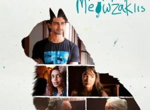 Max, Min and Meowzaki